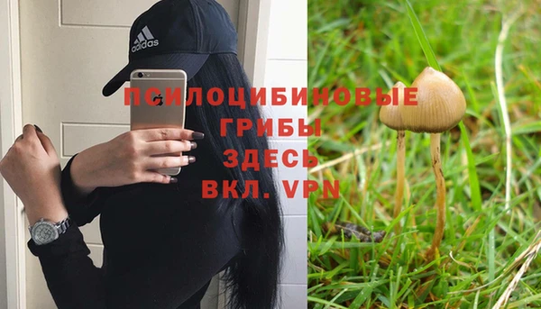 бошки Абдулино