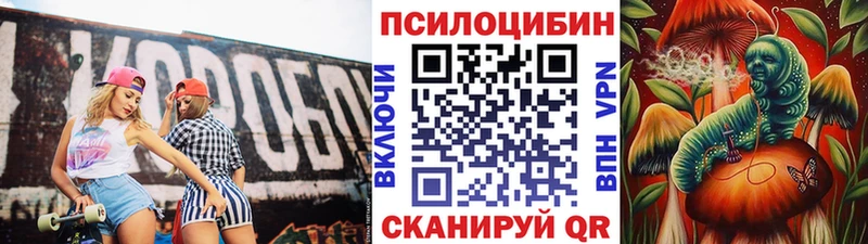 Псилоцибиновые грибы мухоморы  купить наркотик  Шебекино 